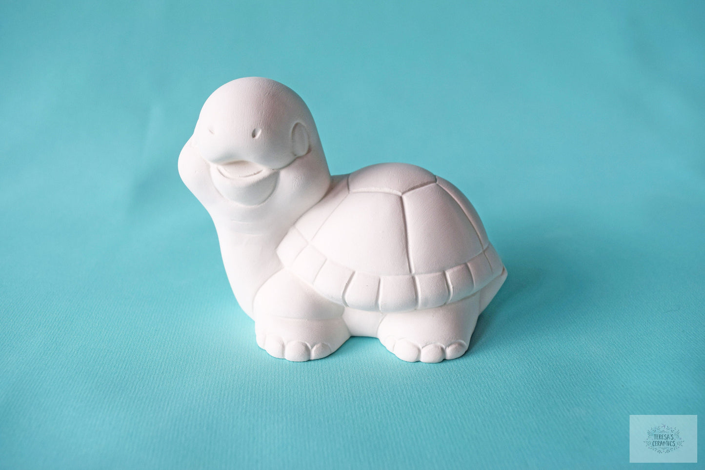 Bisque Turtle | DIY Paint Kit | Back To School | Art Project In A Box