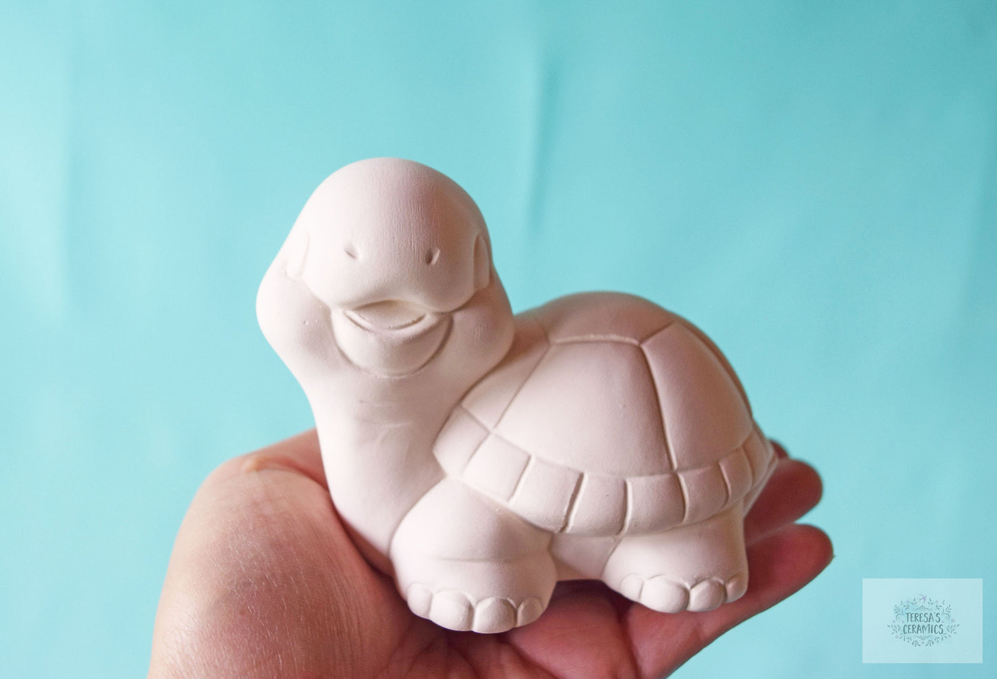 Bisque Turtle | DIY Paint Kit | Back To School | Art Project In A Box