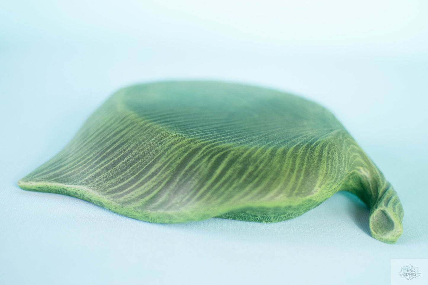 Ceramic Leaf Display | Plant Display | Boho Centerpiece | Leaf Tray