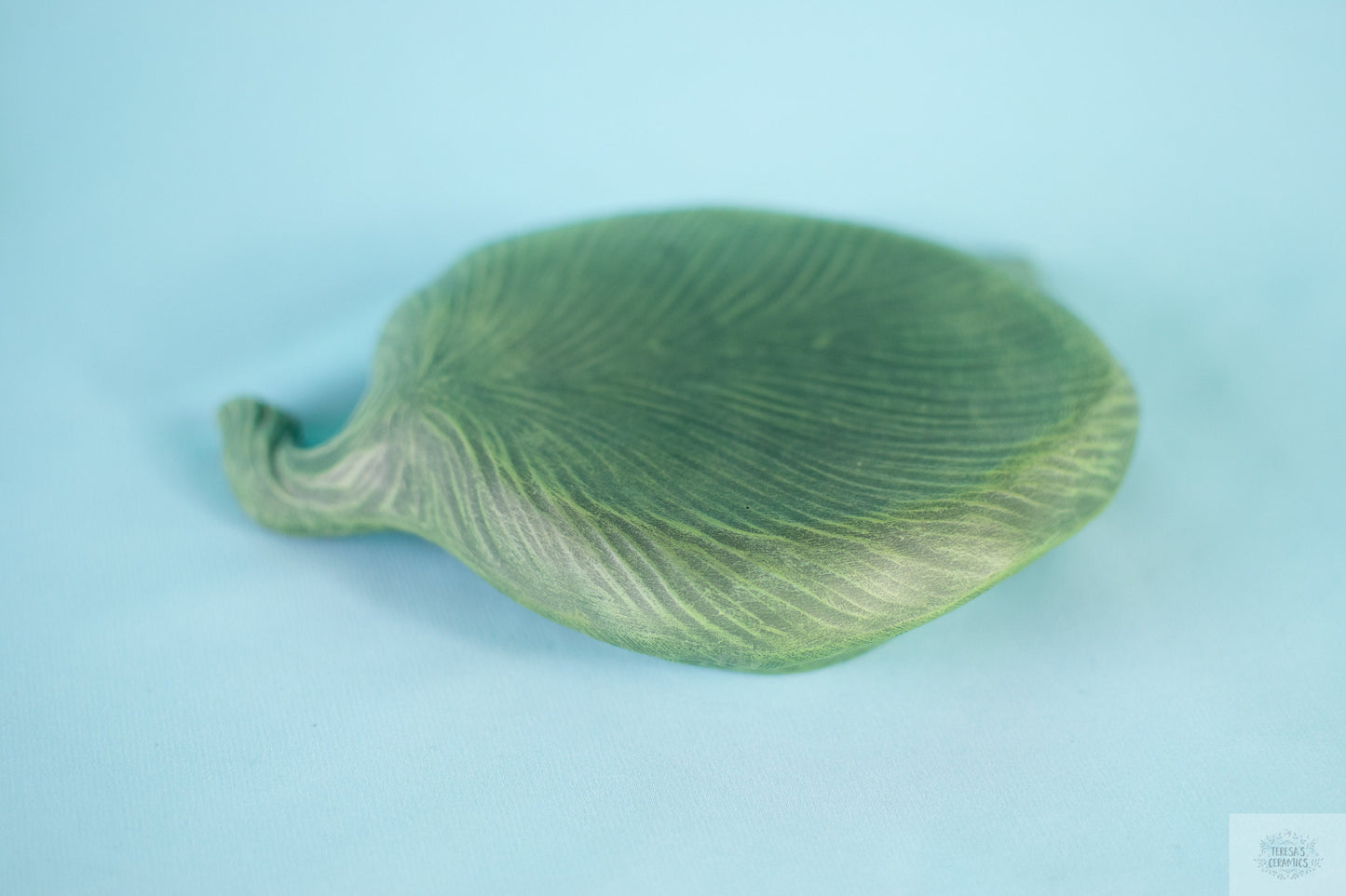 Ceramic Leaf Display | Plant Display | Boho Centerpiece | Leaf Tray