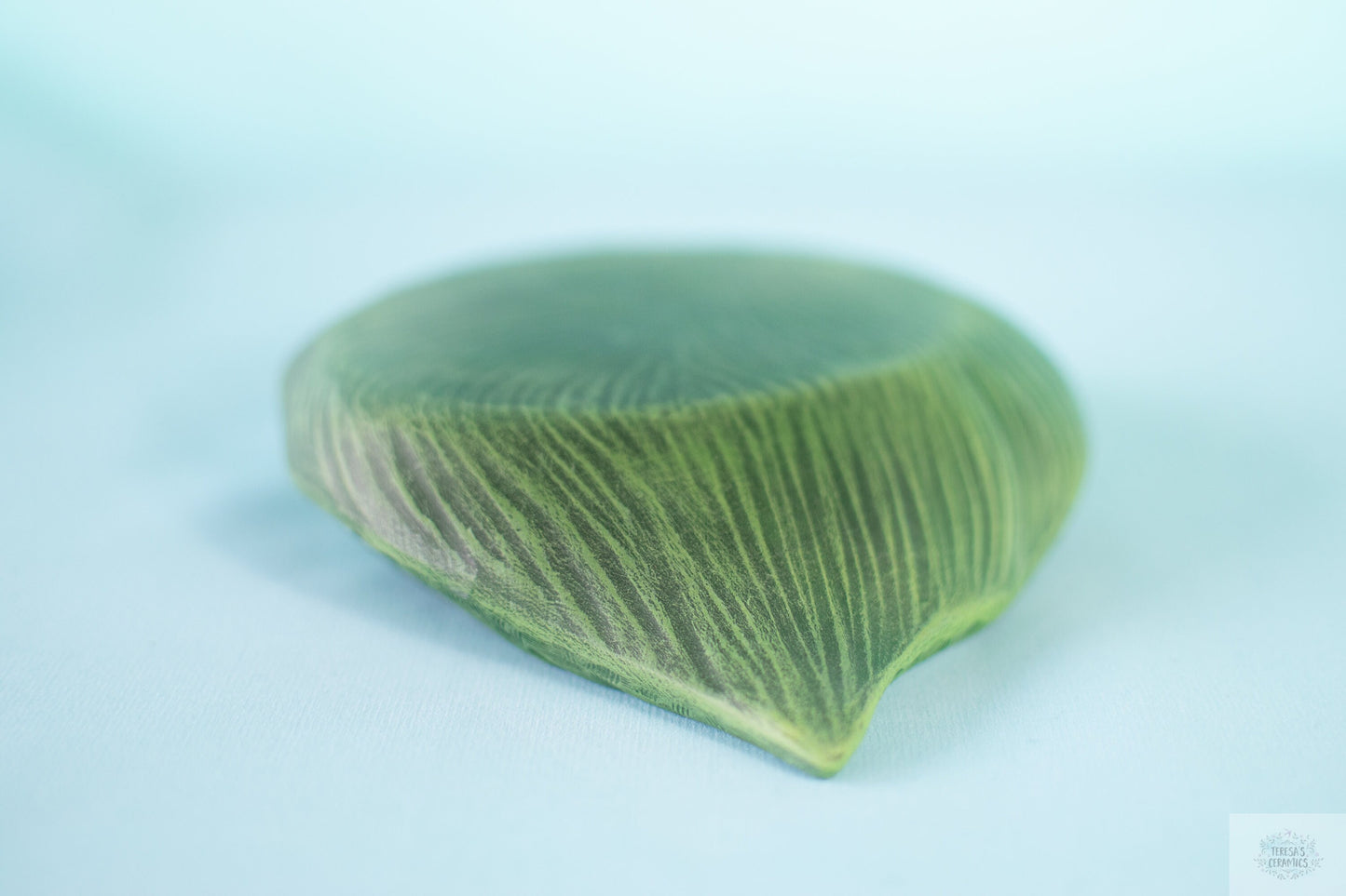 Ceramic Leaf Display | Plant Display | Boho Centerpiece | Leaf Tray