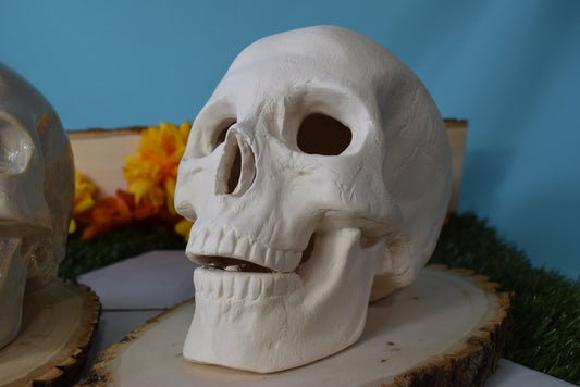 Bisque Ceramic Skull | Ceramic Skull | DIY | PYO | Paint Your Own | Skull | Halloween Decor | Scary Art | Spooky Skull  | Halloween Project