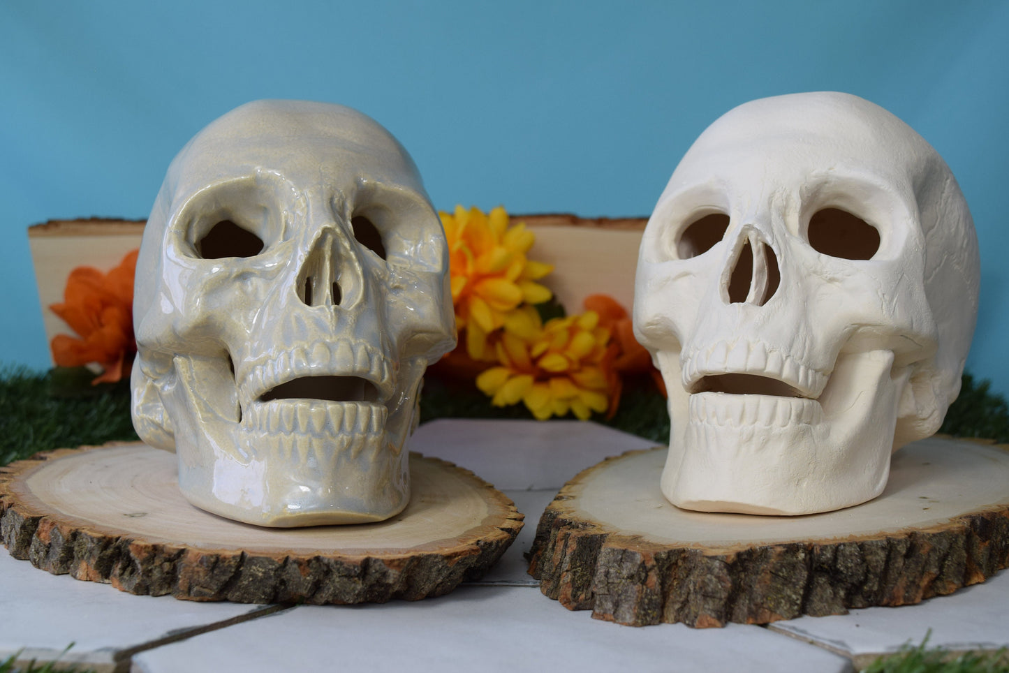 Bisque Ceramic Skull | Ceramic Skull | DIY | PYO | Paint Your Own | Skull | Halloween Decor | Scary Art | Spooky Skull  | Halloween Project