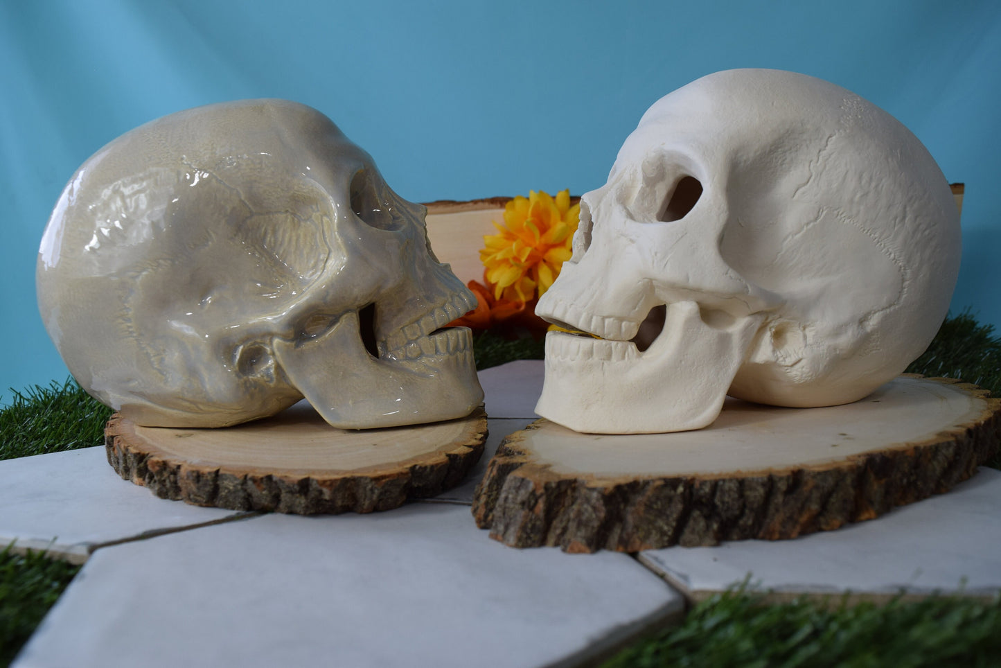 Bisque Ceramic Skull | Ceramic Skull | DIY | PYO | Paint Your Own | Skull | Halloween Decor | Scary Art | Spooky Skull  | Halloween Project